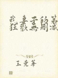 我妻子的第一次狂欢无删减版封面