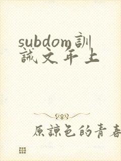 subdom训诫文年上