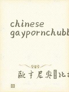 chinesegaypornchubbybearsex