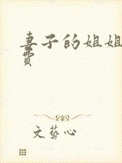 妻子的姐姐2免费封面