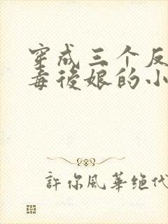 穿成三个反派恶毒后娘的小说
