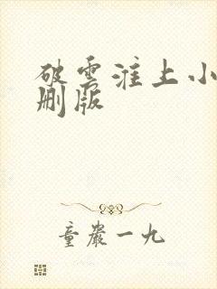 破云淮上小说未删版