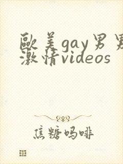 欧美gay男男激情videos封面