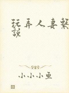 玩弄人妻系列小说封面