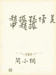 赵振孙倩美红王申赵振封面