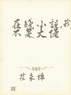 在线小说,我真不是大佬