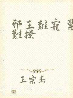邪王难宠 医妃难撩封面