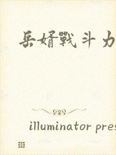 岳婿战斗力