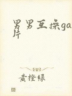 男男互操gay片