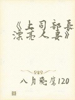 《上司部长出轨漂亮人妻》中文封面