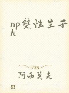 np双性生子高h封面