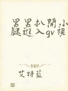 男男扒开小受双腿进入gv视频