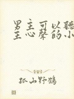 男主可以听见女主心声的小说封面
