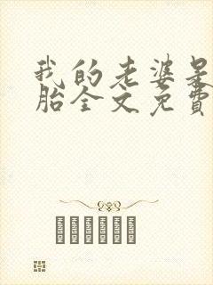 我的老婆是双胞胎全文免费阅读