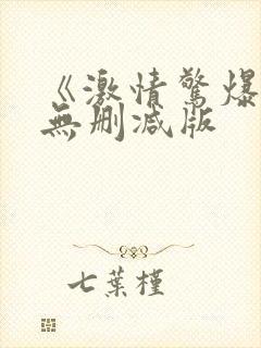 《激情惊爆点》无删减版