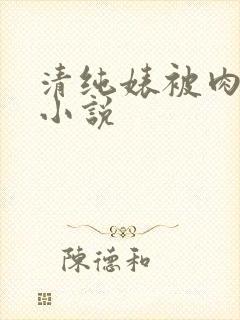 清纯婊被肉日常小说
