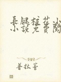 长腿校花小思卉小说免费阅读第一章