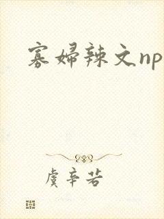 寡妇辣文np