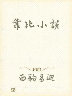 靠比小说