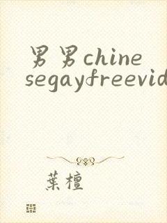 男男chinesegayfreevideo封面