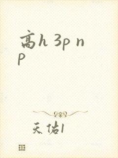 高h 3p np