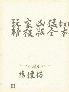 玩家凶猛txt精校版全本下载