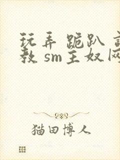 玩弄 跪趴 调教 sm主奴网站