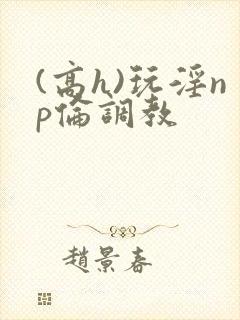 (高h)玩淫np伦调教