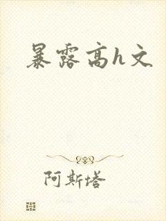 暴露高h文