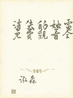 消失的她电视剧免费观看全集完整封面