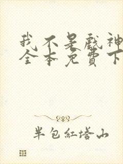 我不是戏神小说全本免费下载封面