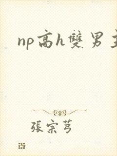 np高h双男主