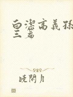 白洁高义孙倩陈三篇
