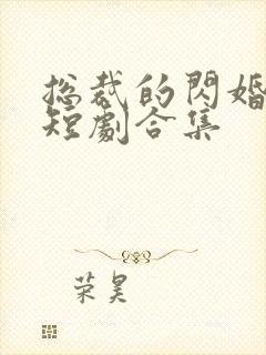 总裁的闪婚甜妻短剧合集