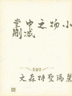 掌中之物小说未删减