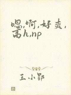 嗯,啊,好爽,高h,np