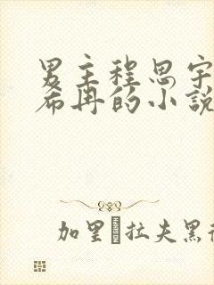 男主程思宇女主希冉的小说