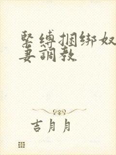 紧缚捆绑奴隶人妻调教封面