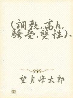 (调教,高h,骚受,双性)小说