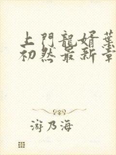 上门龙婿叶辰萧初然最新章节更新