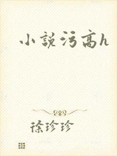 小说污高h
