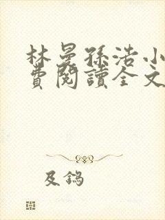 林曼孙浩小说免费阅读全文最新章节封面