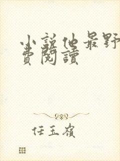 小说他最野了免费阅读