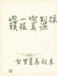 嗯～啊别揉我奶头张真源封面