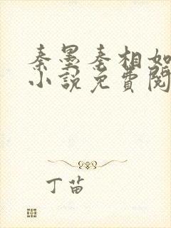 秦墨秦相如穿越小说免费阅读封面