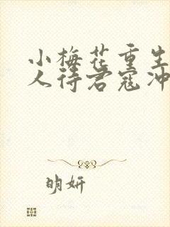 小梅花重生之美人待君寇冲