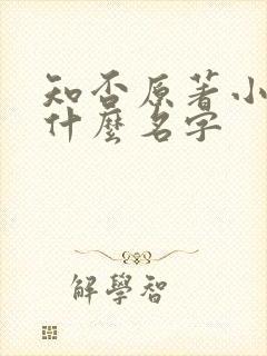 知否原著小说叫什么名字