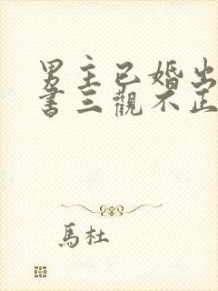 男主已婚出轨秘书三观不正小说封面