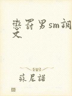 惩罚男sm调教文