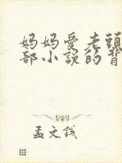 妈妈爱老头第1部小说的背景故事